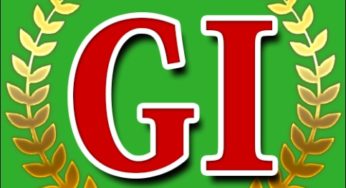 Ｇ１菊花賞　血統診断３